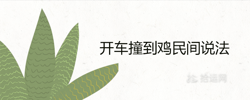 吃鸡游戏开车手机版哪个好_吃鸡游戏开车手机版哪个好_吃鸡游戏开车手机版哪个好