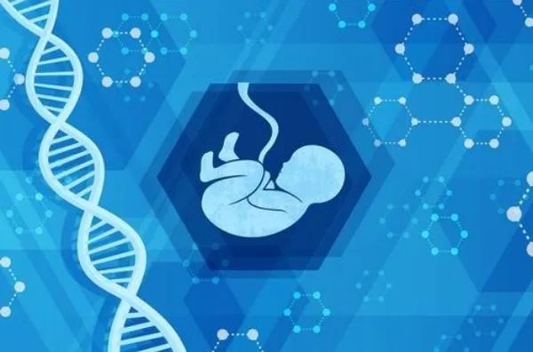 team移植手机游戏_电脑移植手机游戏_移植手机游戏网站