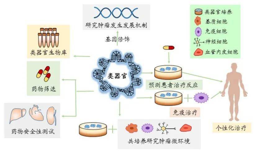移植手机游戏网站_team移植手机游戏_电脑移植手机游戏