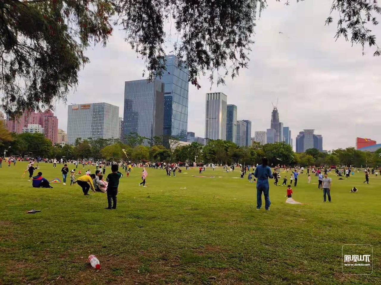 公园的游戏手机_搜索公园游戏_手机公园下载