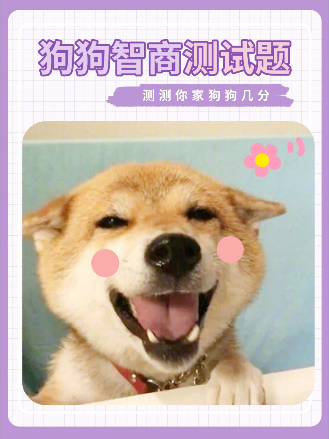 答题壁纸手机游戏软件_答题游戏手机壁纸_答题壁纸软件