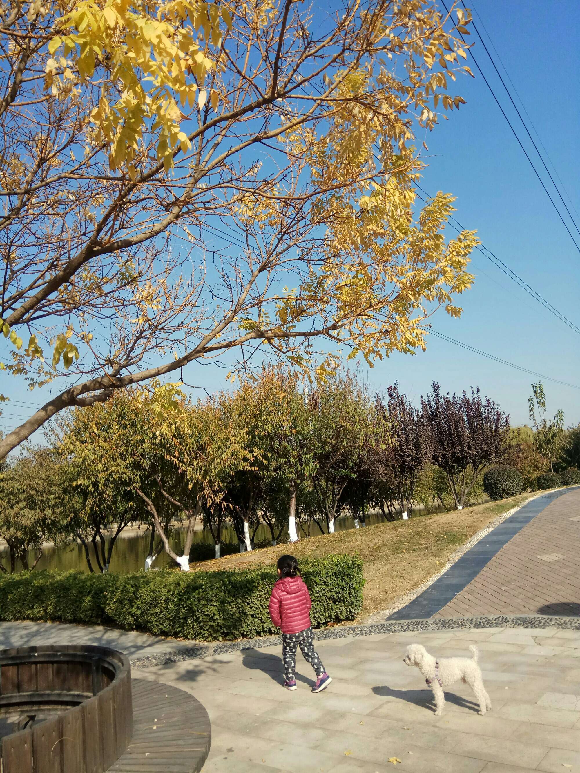 带女生玩手机游戏被拒绝_如何拒绝女生玩游戏_拒绝女生玩带手机游戏的理由