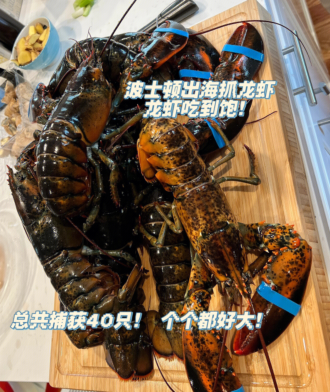 波士顿龙虾是龙虾吗_快玩游戏盒手机版下载_波士顿龙虾游戏下载手机版