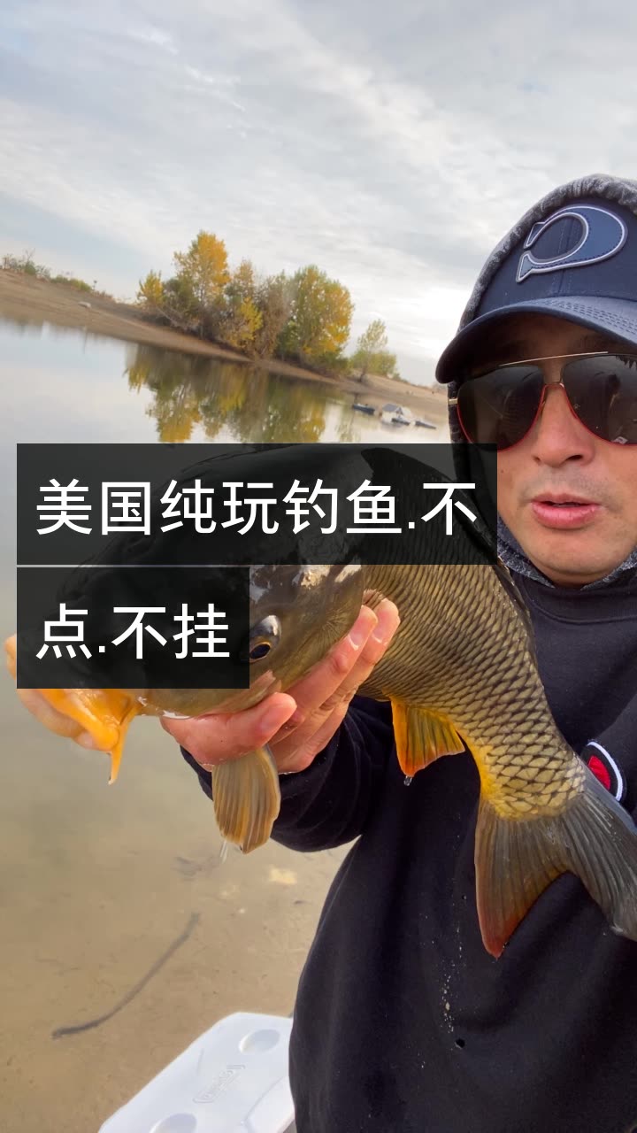 直播钓鱼游戏叫什么_钓鱼怎么用手机直播游戏_钓鱼直播手机游戏用哪个软件