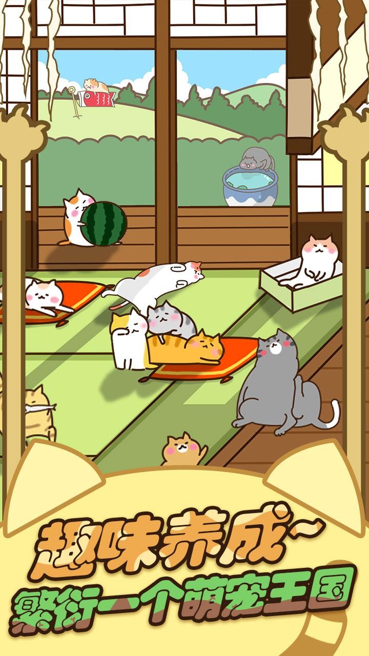 安卓手机逗猫游戏下载