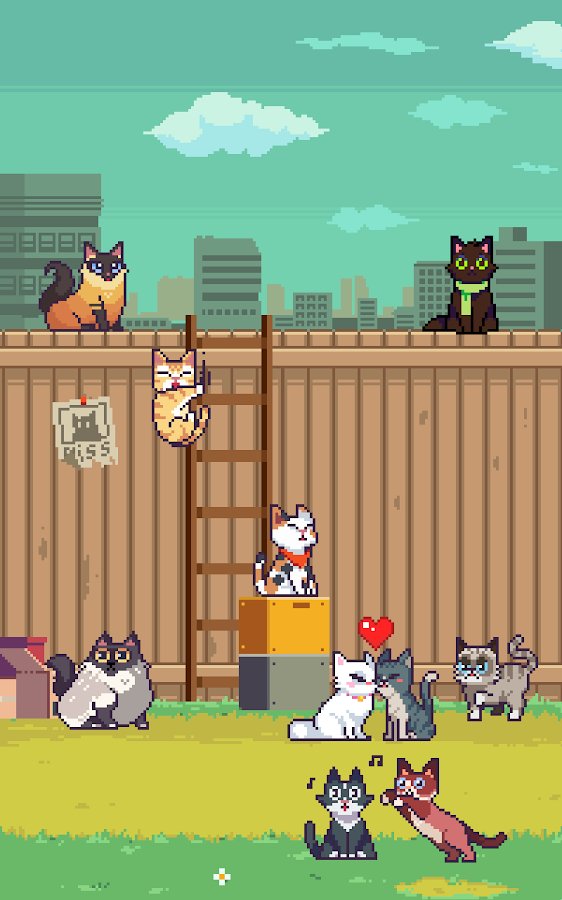安卓手机逗猫游戏下载_手机逗猫软件下载_逗猫游戏app