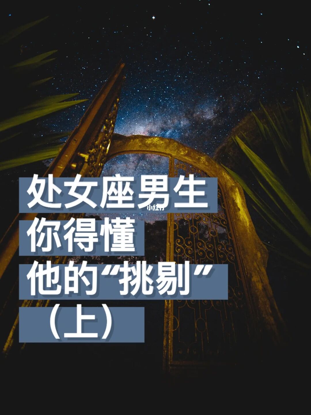 处女男座的性格_处女座男生的性格分析_处女座男生性格深度分析