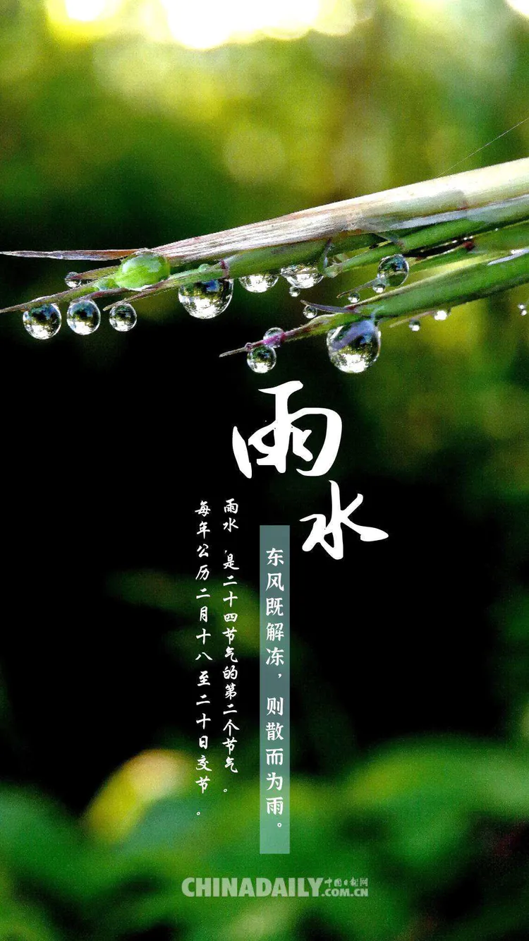 雨野_野雨闲云享其成猜生肖_雨音入野自由