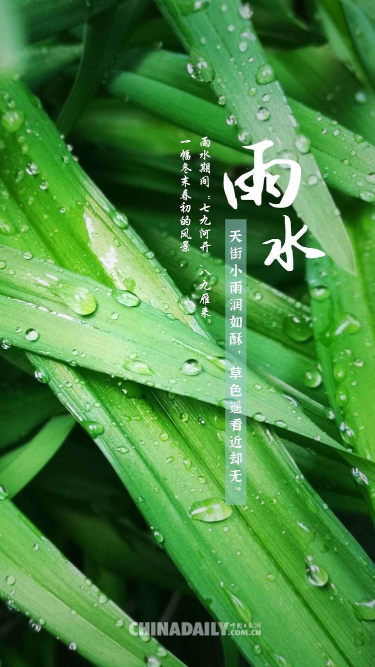 雨野_野雨闲云享其成猜生肖_雨音入野自由