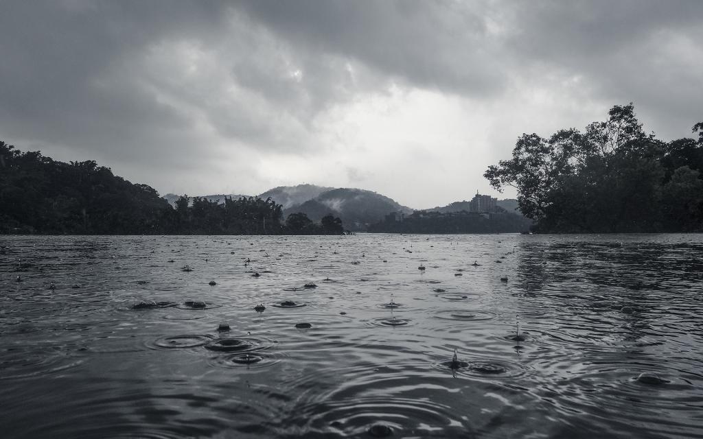 雨野_野雨闲云享其成猜生肖_雨音入野自由