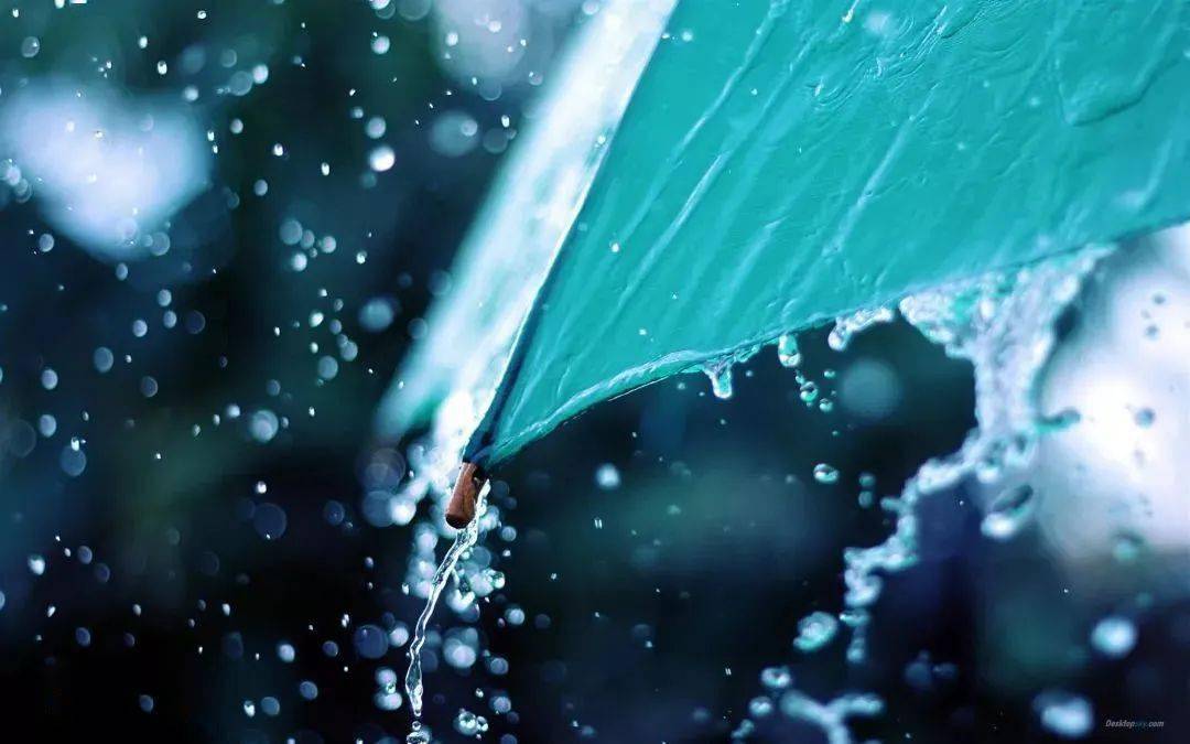 雨后故事系列表情包_雨后小故事哪看原版_雨后小故事gif完整版