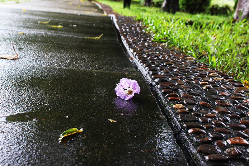 雨后小故事gif完整版_雨后小故事哪看原版_雨后故事系列表情包