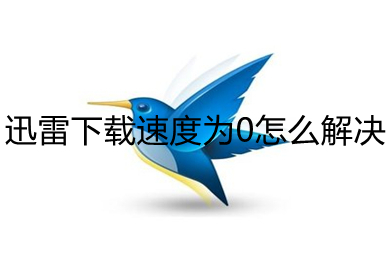 2021迅雷下载特别慢_迅雷下载慢_迅雷下载慢的要死
