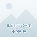 qq申诉英文版网址1001_qq申诉英文版网址界面_qq申诉英语qq申诉英语版