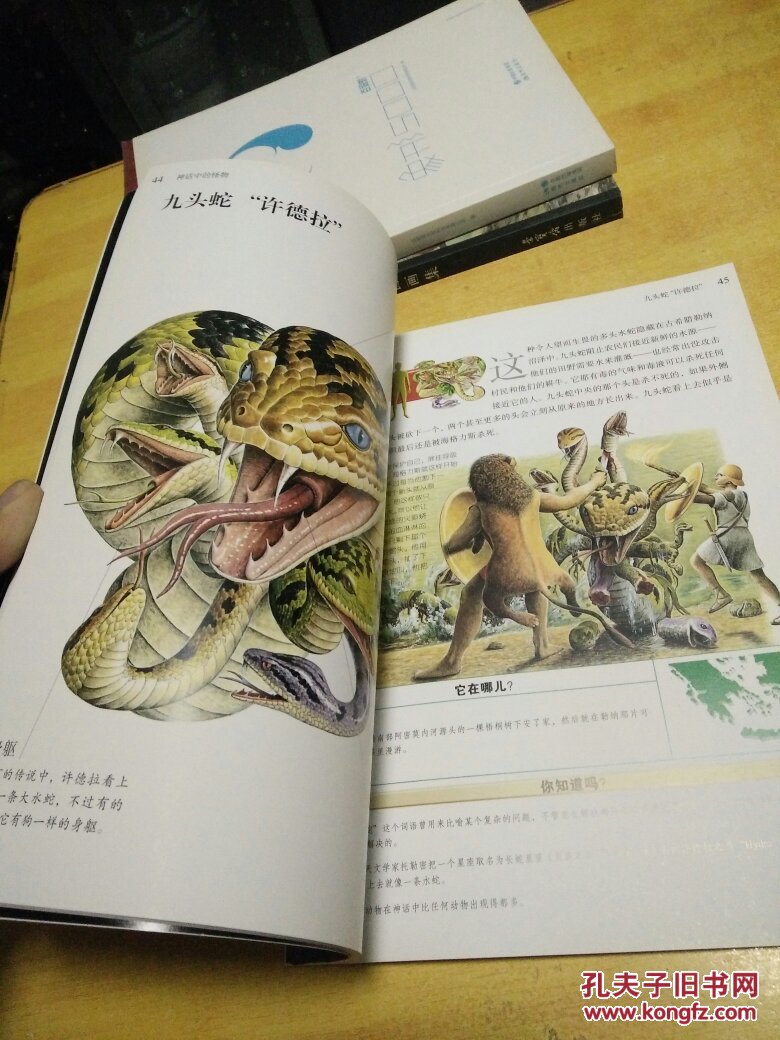海坊主_海坊主_海坊主