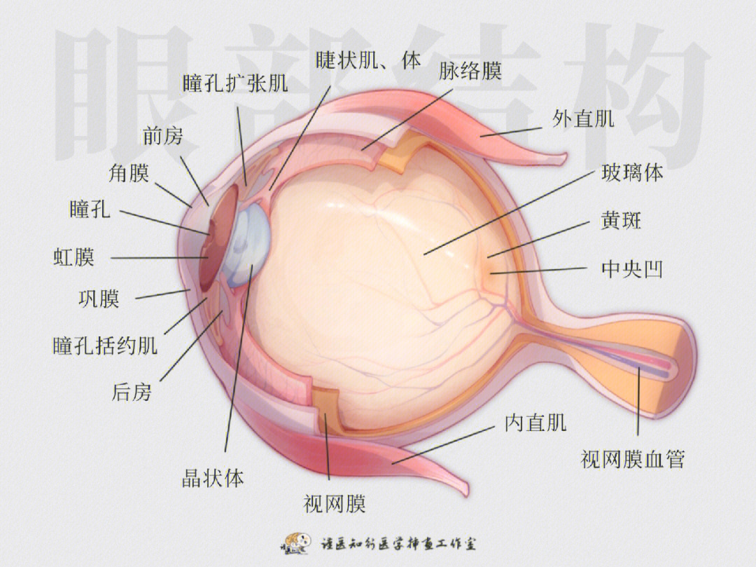 专业清洗热水器服务_srs服务器_海尔维修热水器服务