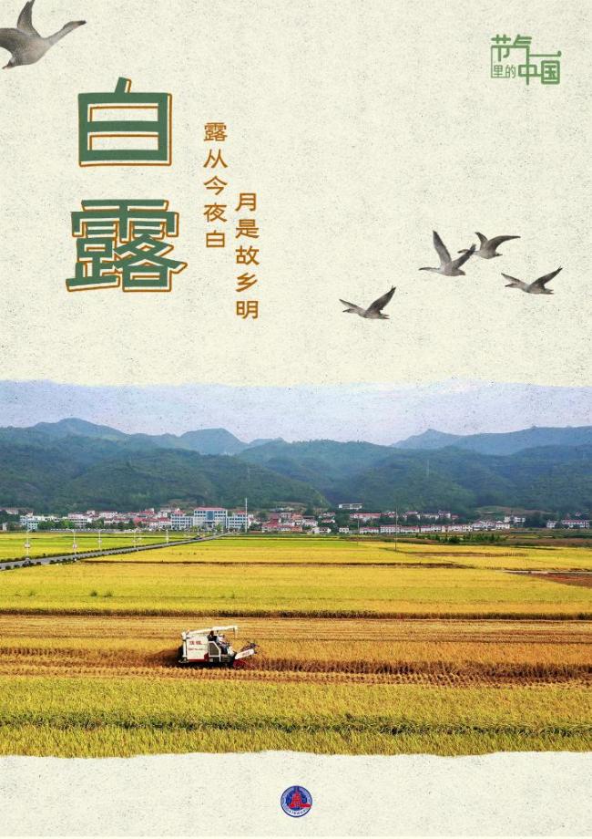 白露节气_节气白露的自然物候现象_节气白露的自然物候现象有哪些
