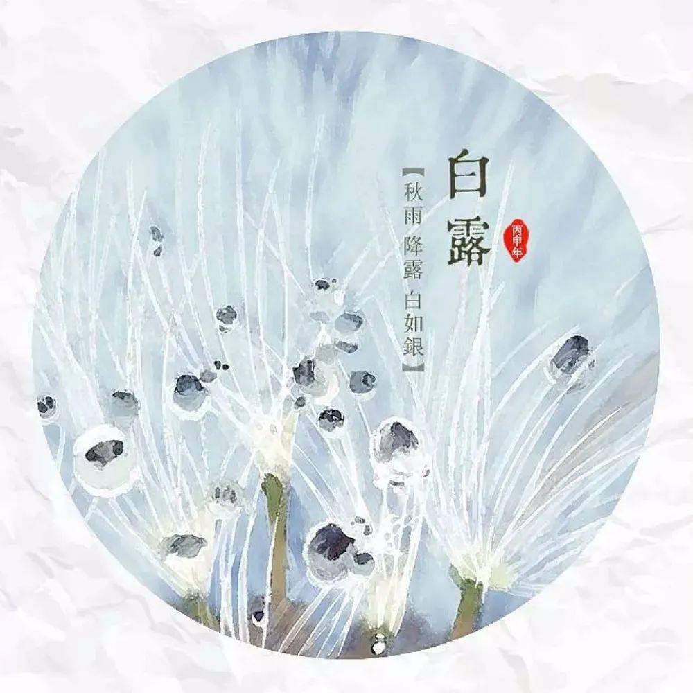 节气白露的自然物候现象有哪些_节气白露的自然物候现象_白露节气