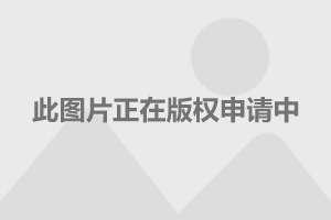 游戏汽车迷_下载汽车迷_jdm车迷手机游戏