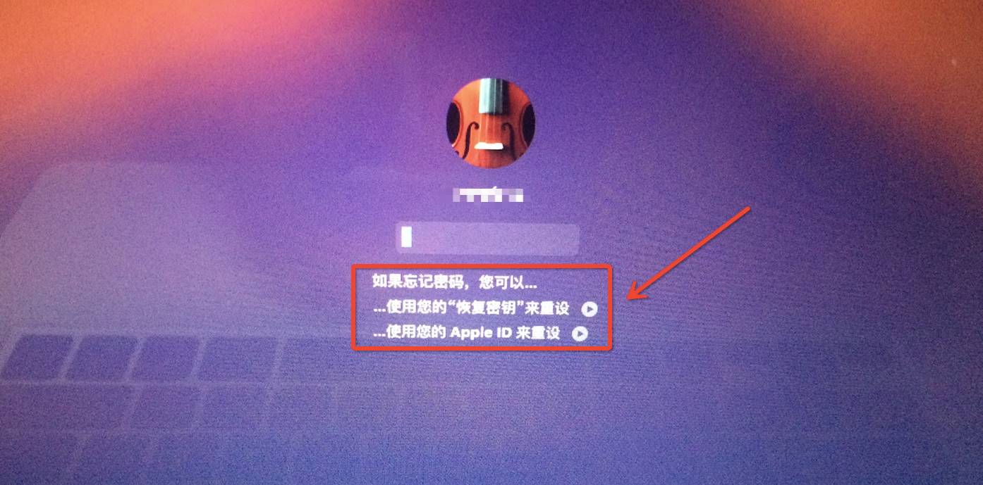 dn饭手机游戏_手机游戏3000款合集_手机版游戏app