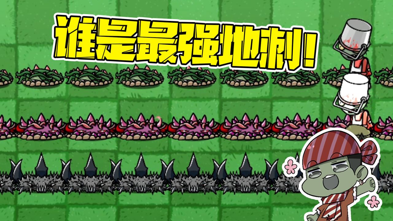 地刺王_地刺_地刺是什么植物