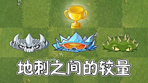 地刺是什么植物_地刺王_地刺