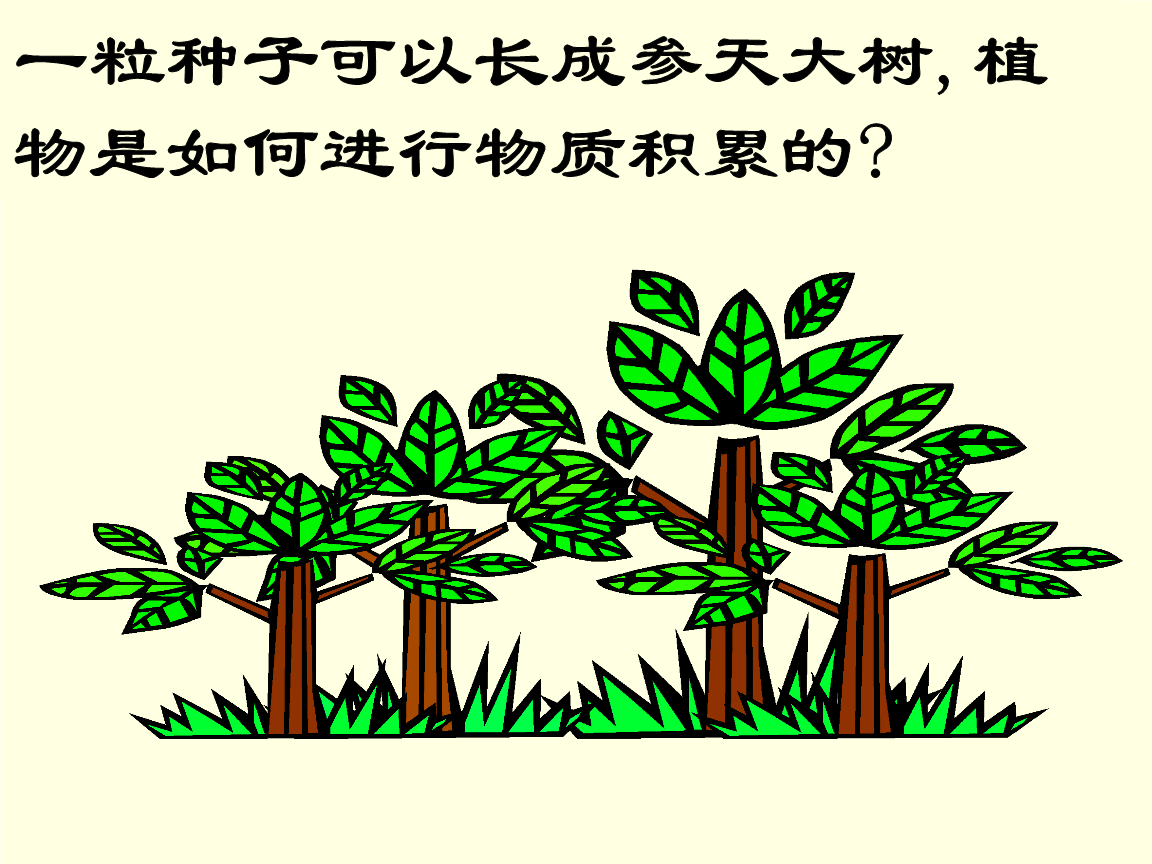 不玩手机就长出大树的游戏_打树的游戏是什么_大树的游戏规则