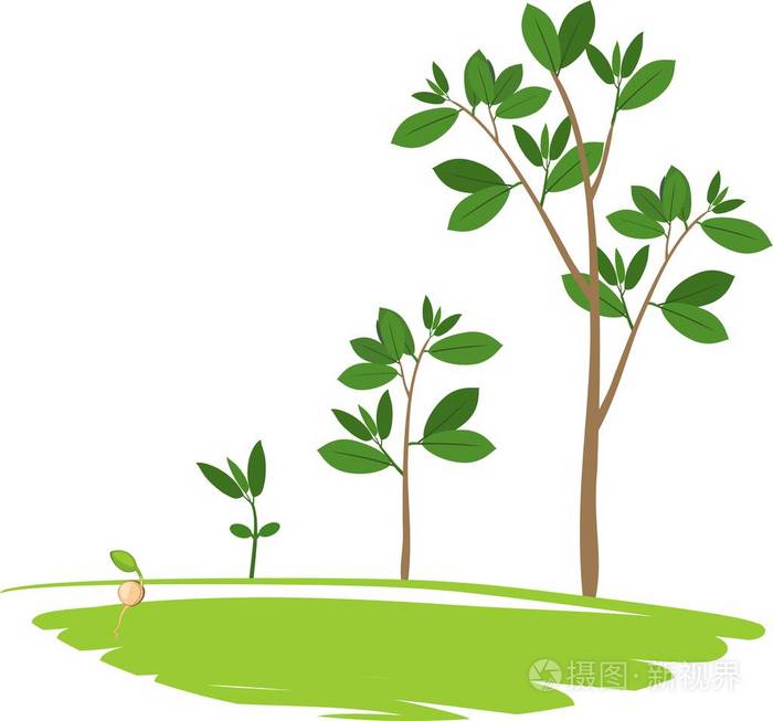 打树的游戏是什么_大树的游戏规则_不玩手机就长出大树的游戏