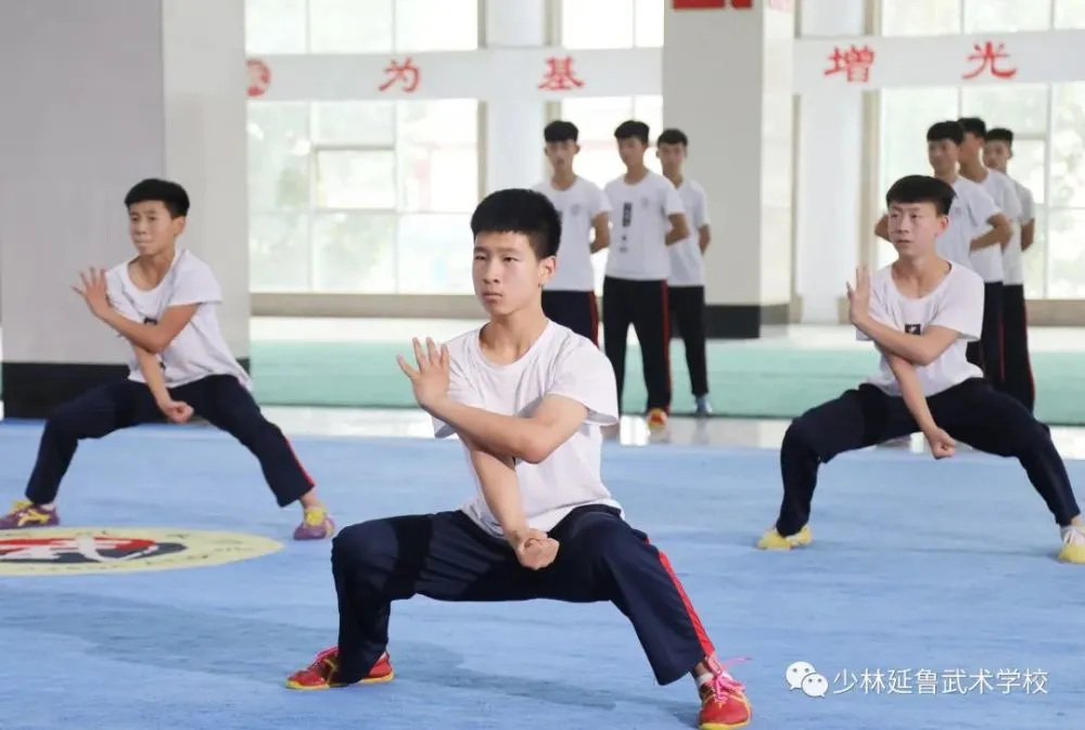 武破_破武踏天小说_破武九荒阅读