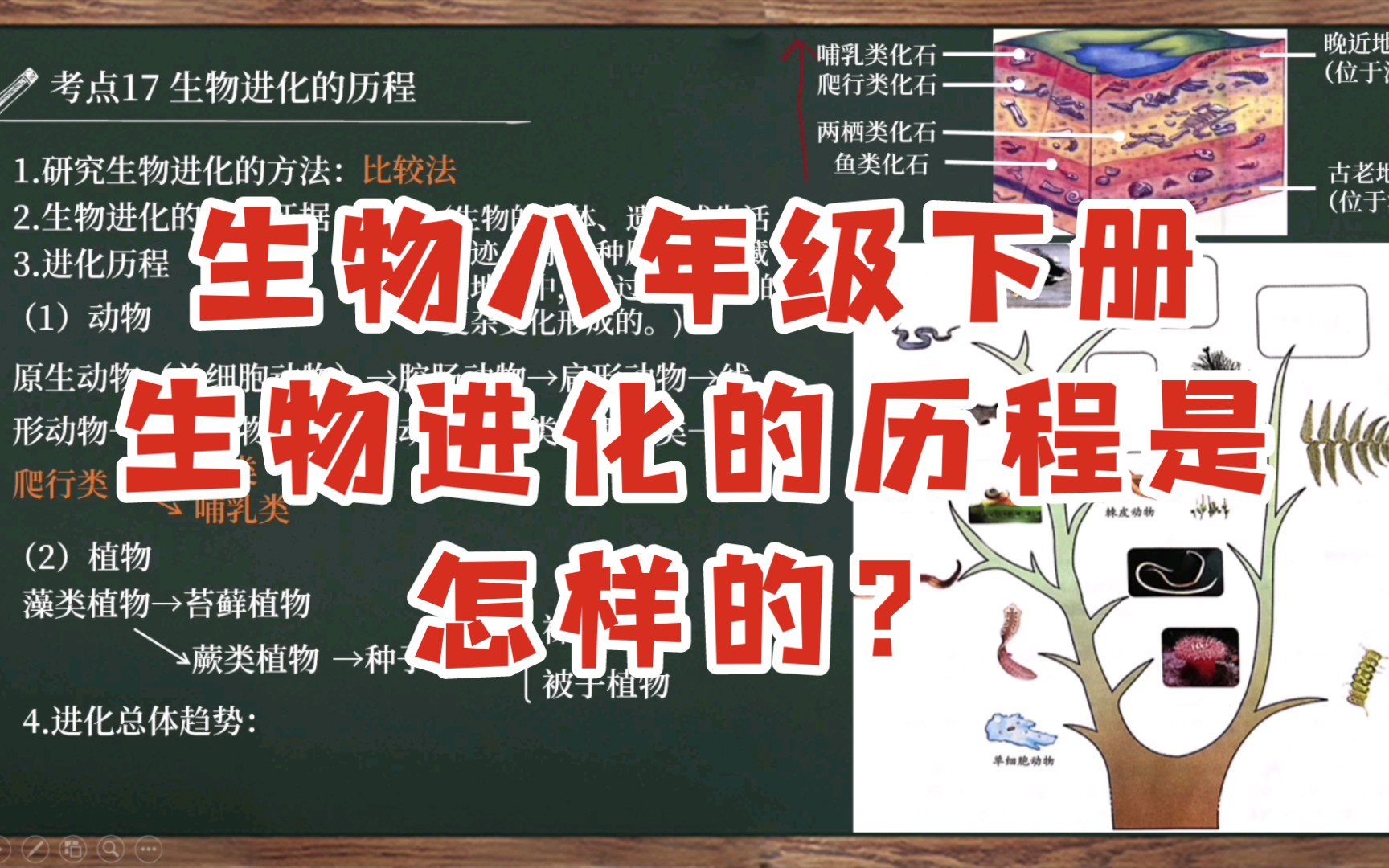 手机游戏三大巨头_手机游戏三对三怎么玩_sandbox手机游戏