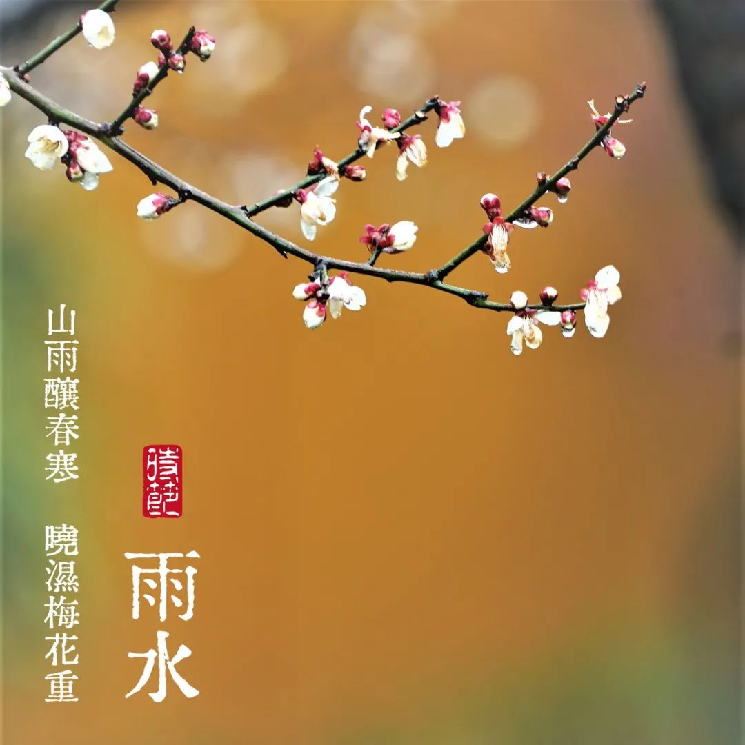 2020农历节气表_2023年节气时间表农历_节气2021农历