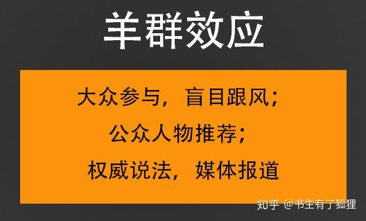 羊群效应总结_羊群效应是_羊群效应