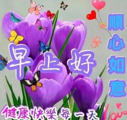 早见沙织_早见沙织_早见沙织