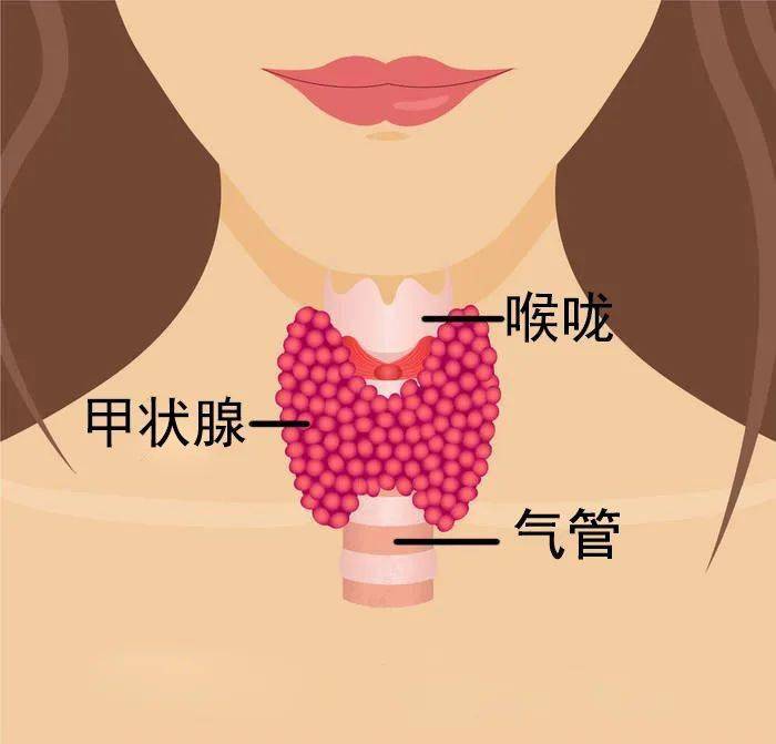 缺乏碘无机盐的症状_碘缺乏日_缺乏碘会引起哪些疾病