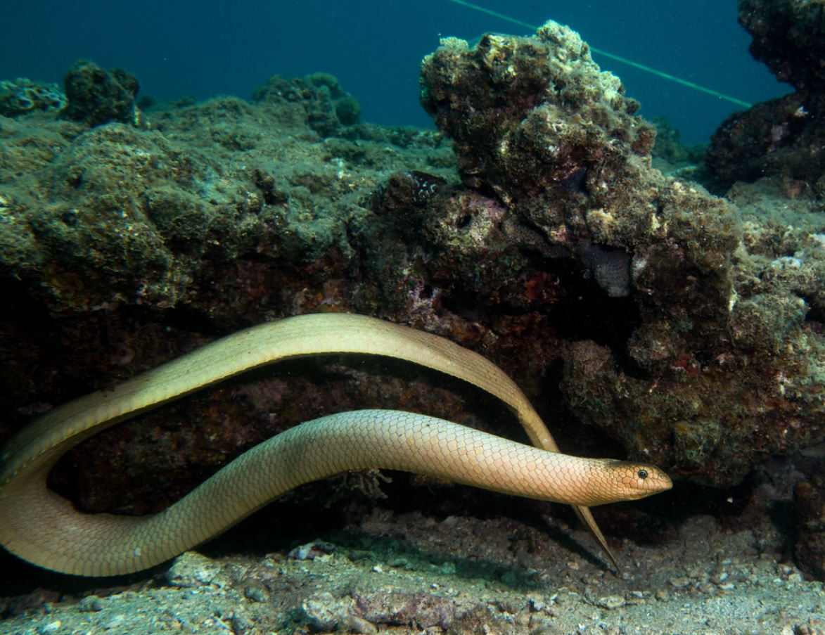 大海游戏世界_大海玩过的所有游戏_大海玩手机游戏
