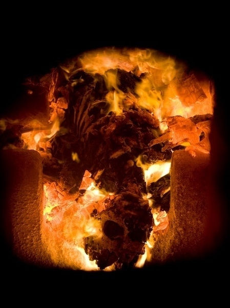 手机游戏手游_手机游戏4399_blasphemous 手机游戏