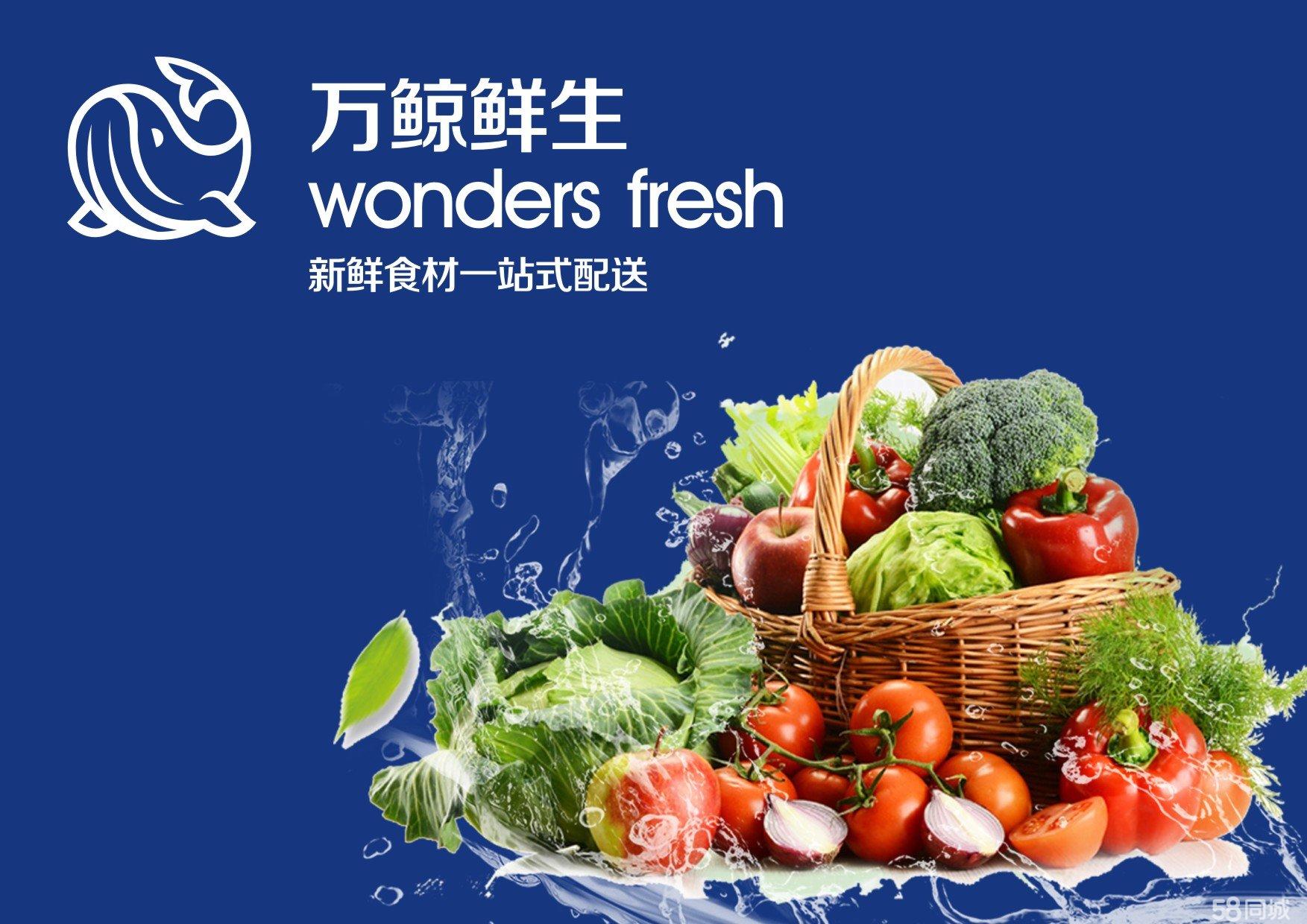 清美生鲜超市app下载_生鲜超市app有哪些_生鲜超市超市