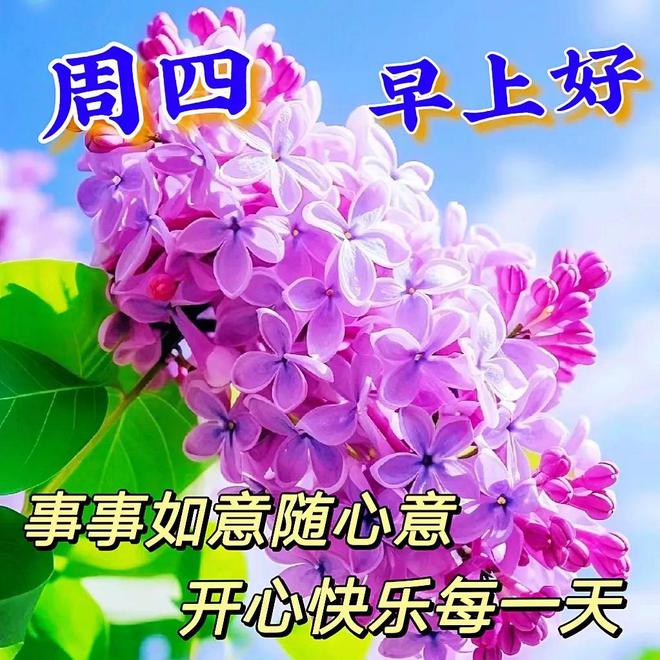 问候的方式_独特的早安问候方式_高情商早安问候方式