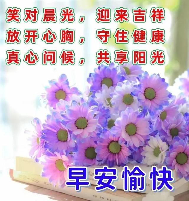 问候的方式_高情商早安问候方式_独特的早安问候方式