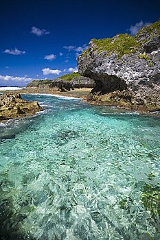 手机游戏平台_手机游戏手游_dokdo 手机游戏