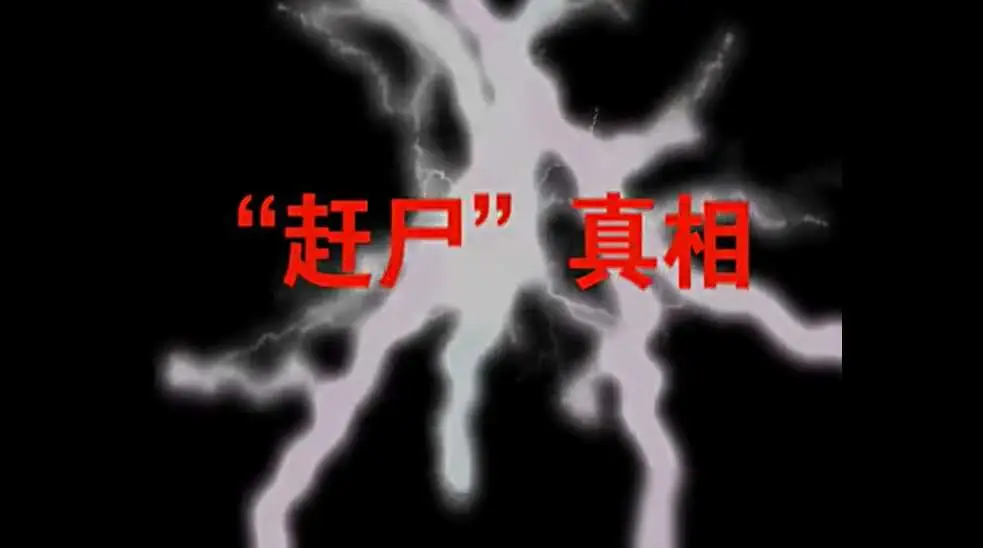 grave手机游戏_手机游戏手游_手机游戏平台