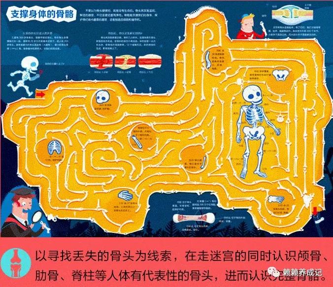 迷宫闯关手机游戏3d_3d迷宫手机游戏_迷宫手机游戏小动物
