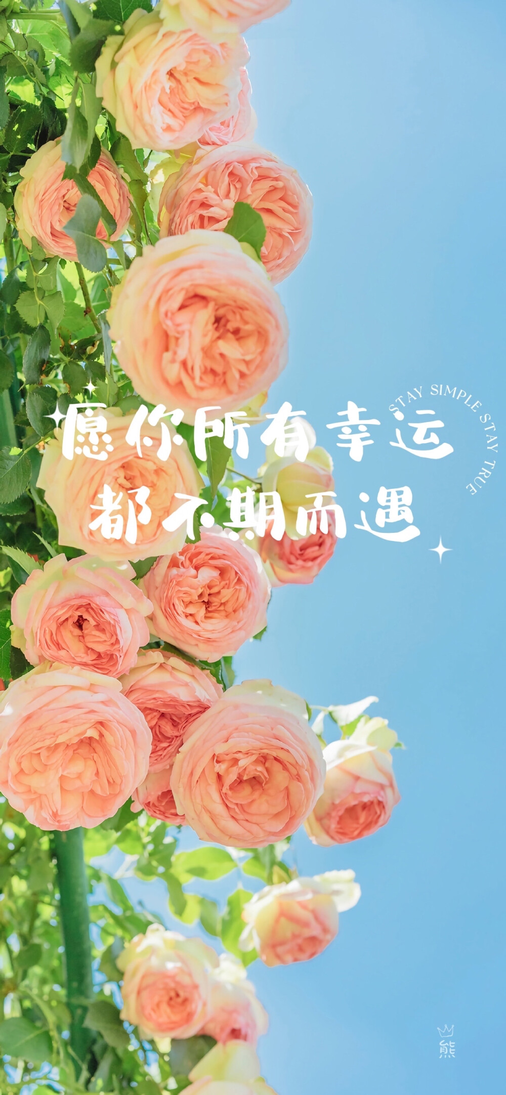 初恋世界第一第三季_世界一初恋_初恋世界动漫