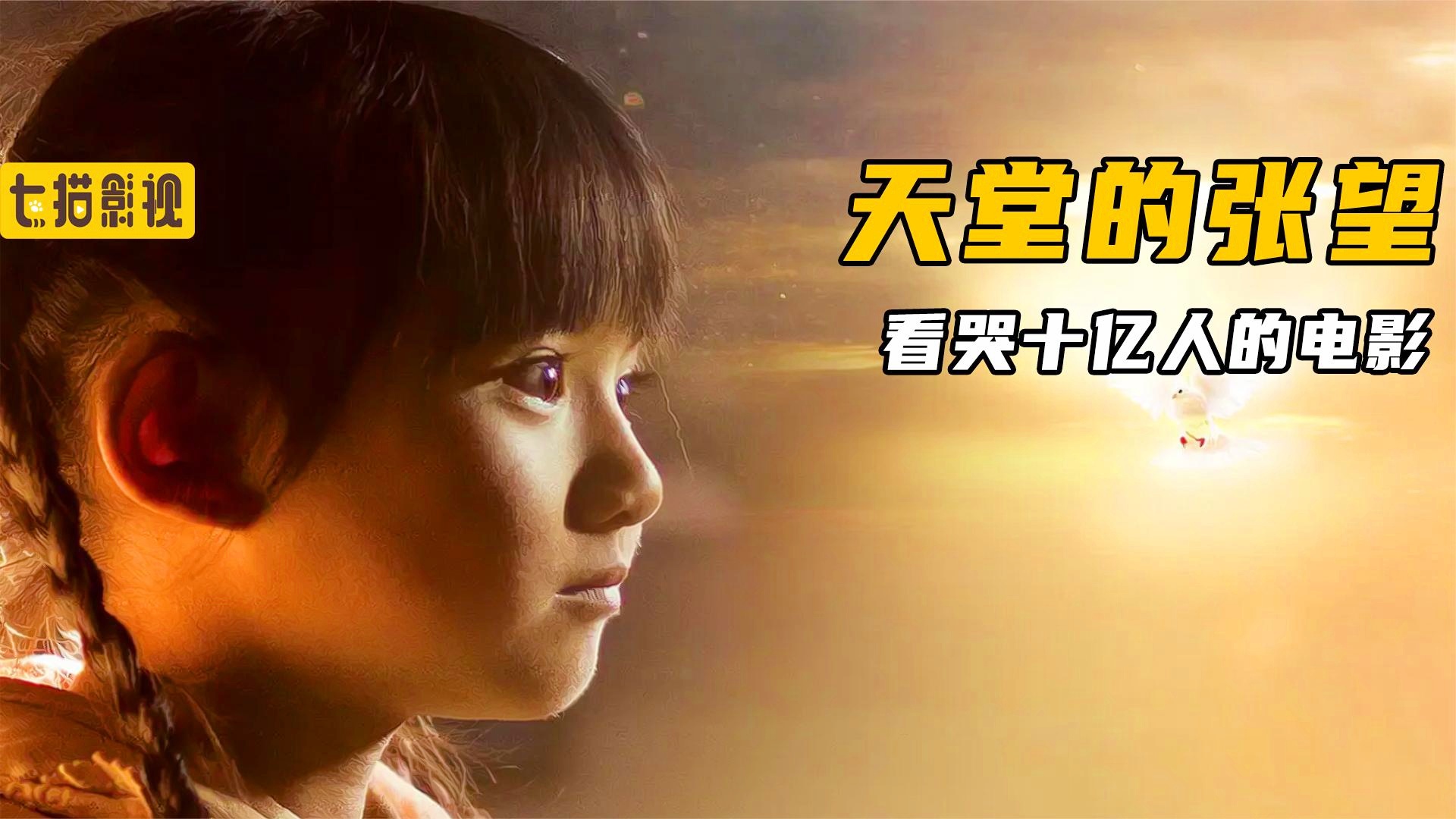 揭秘电影天堂网址：神秘而充满挑战的电影资源世界