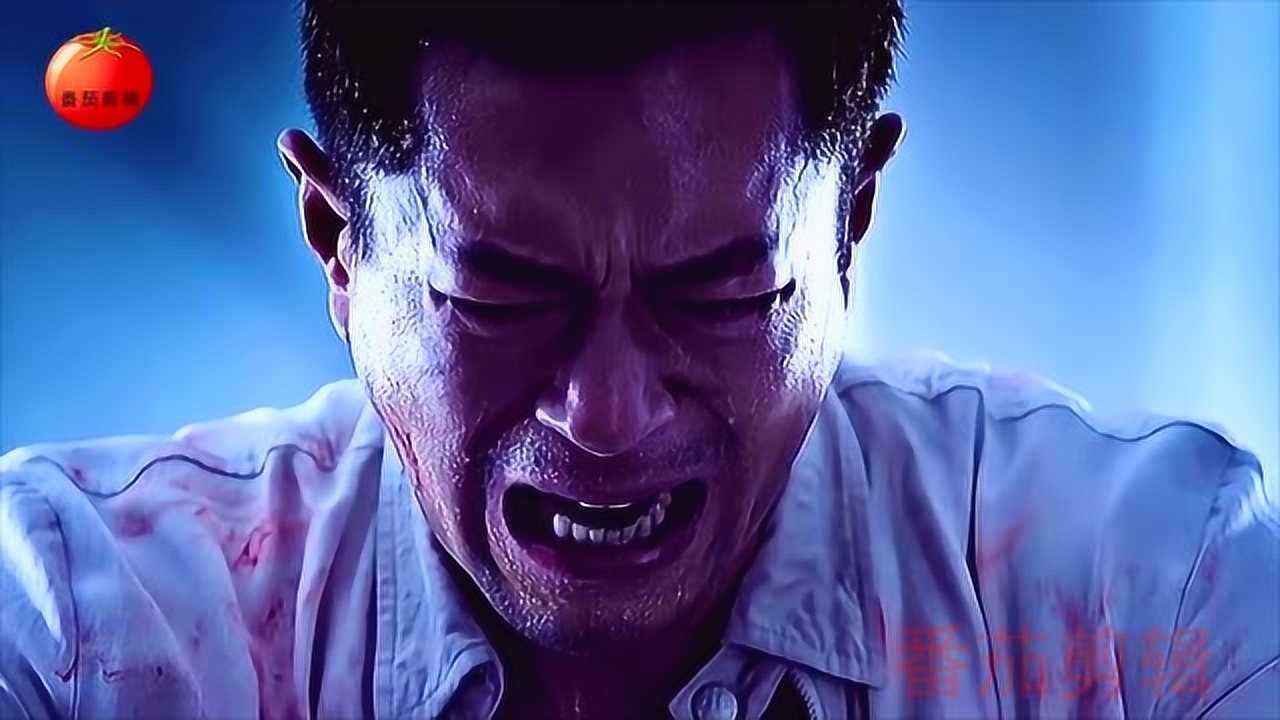 疾速追杀3在线观看-如何在线观看疾速追杀3？上映情况、平台选