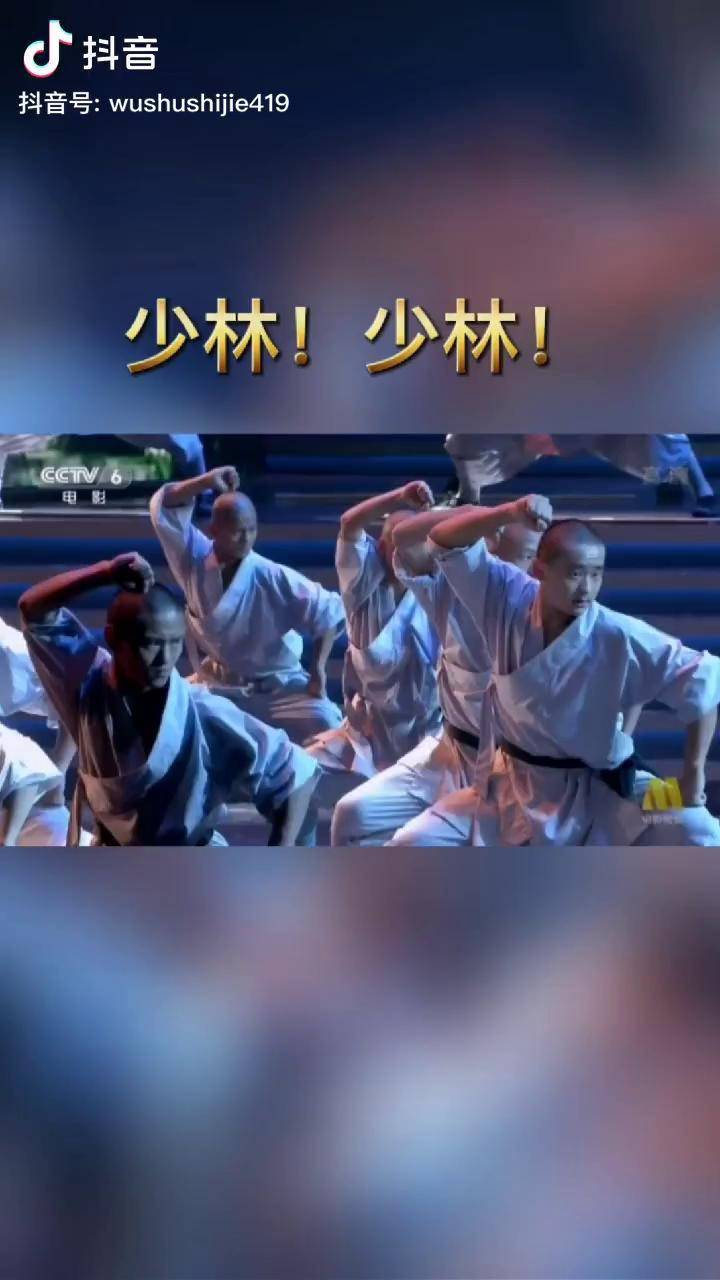 少林寺免费完整版_少林寺在线观看_新少林寺在线