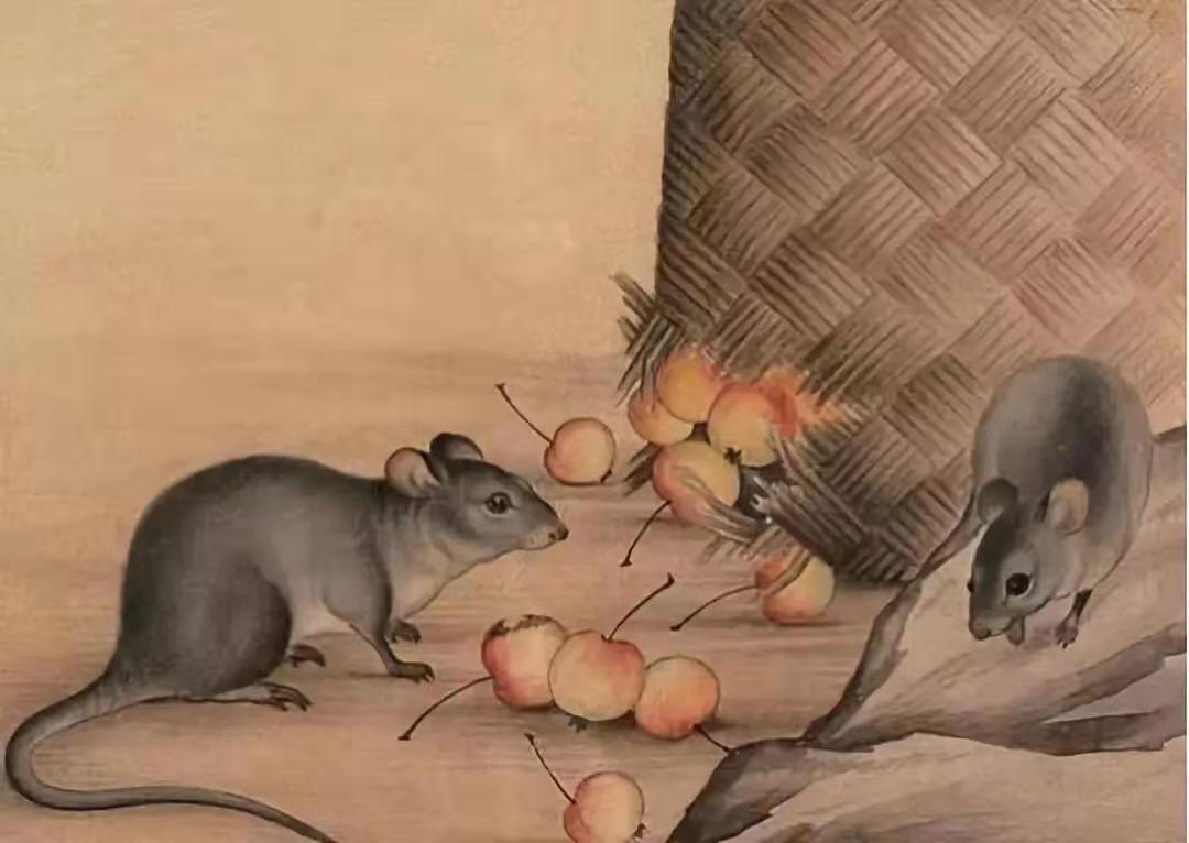 2020年属什么生肖_生肖属年龄对照表_生肖属年龄