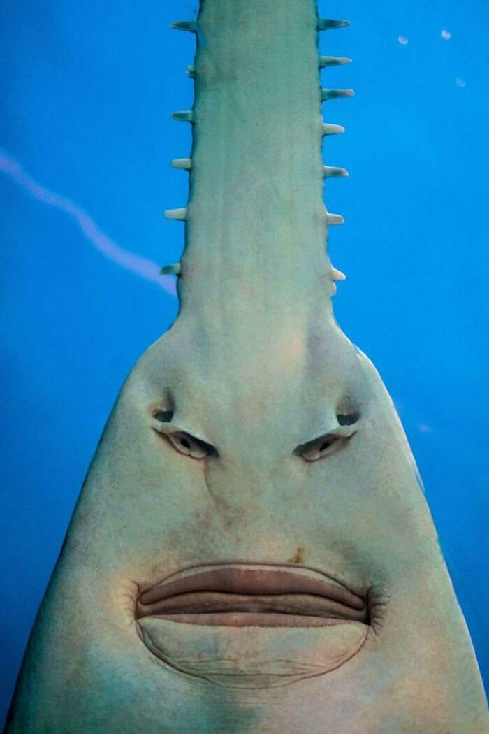 忍海级驱逐舰_海忍_忍海级