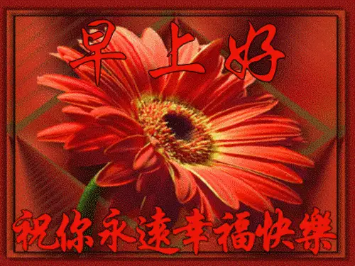 布莱德彼特谈安妮斯顿_布莱德彼特票房毒药_彼特