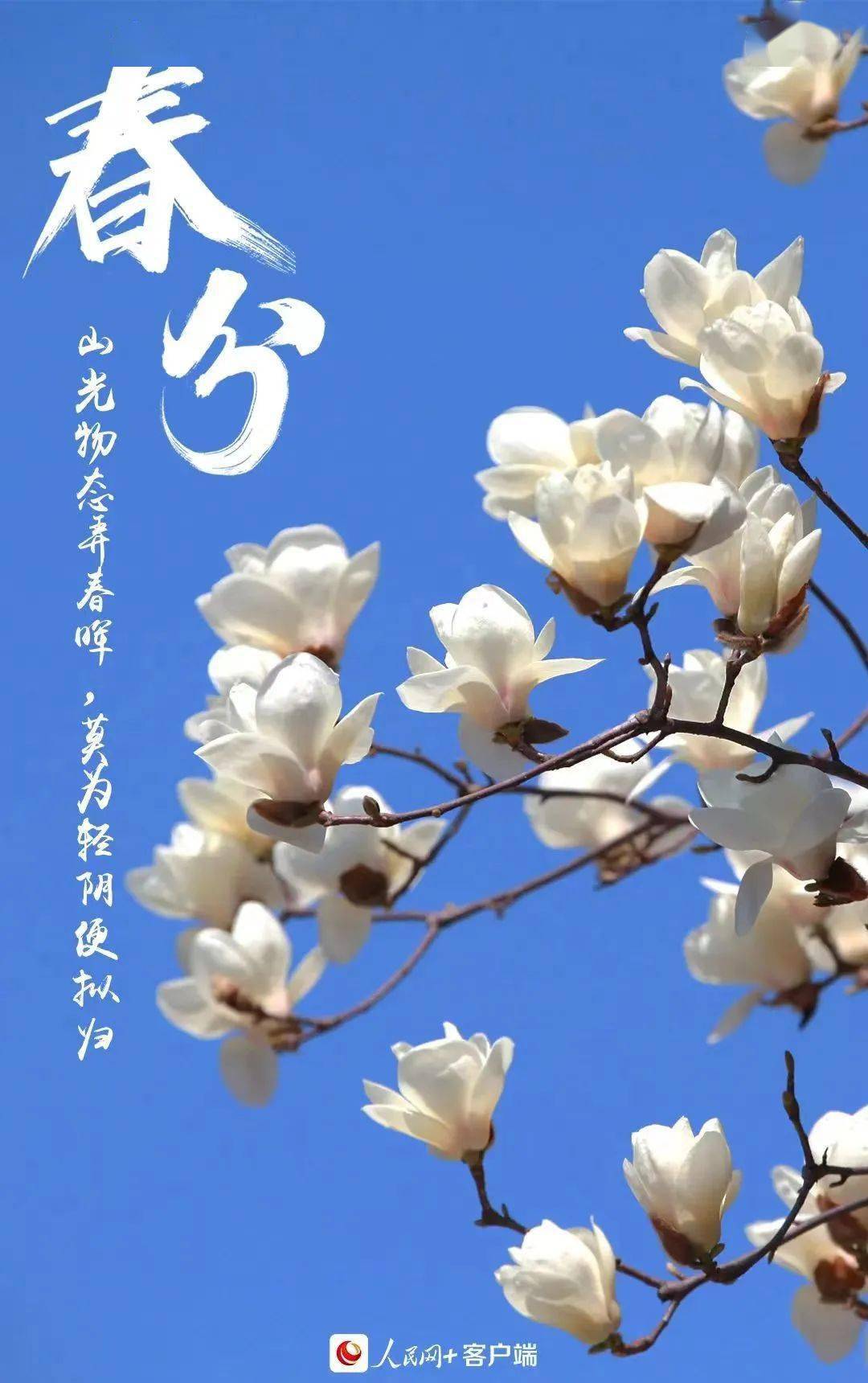 春分由来的图片_讲解一下春分的由来吧_春分的由来